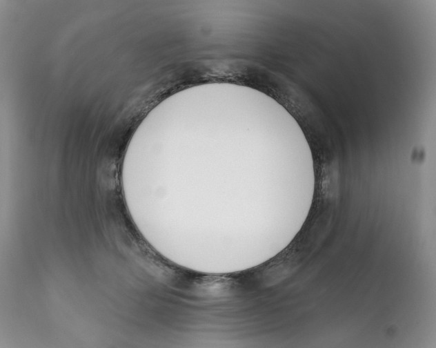 X0000111890514200908201324