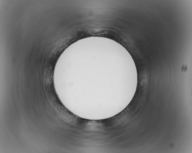 X0000111890515200908201324