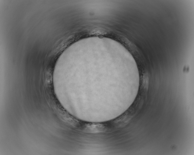 X0000111890517200908201324