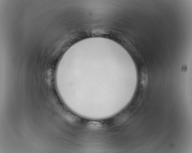 X0000111890519200908201324