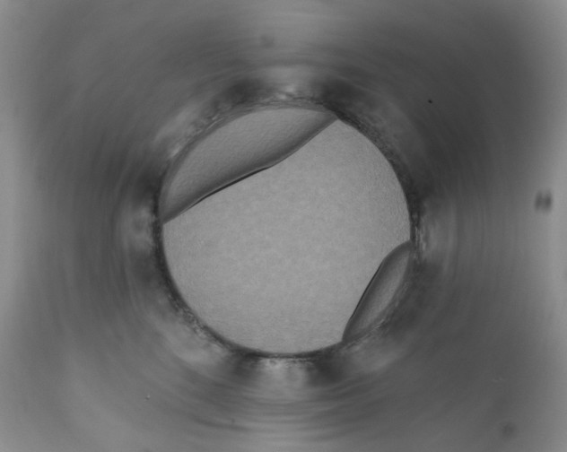 X0000111890520200908201324