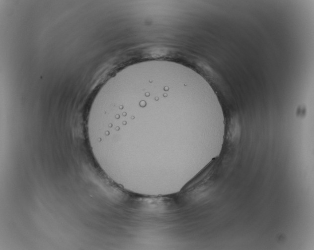 X0000111890524200908201324