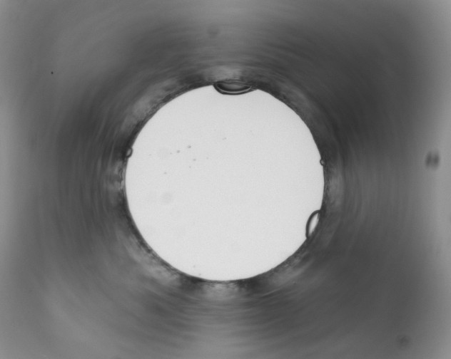 X0000111890525200908201324