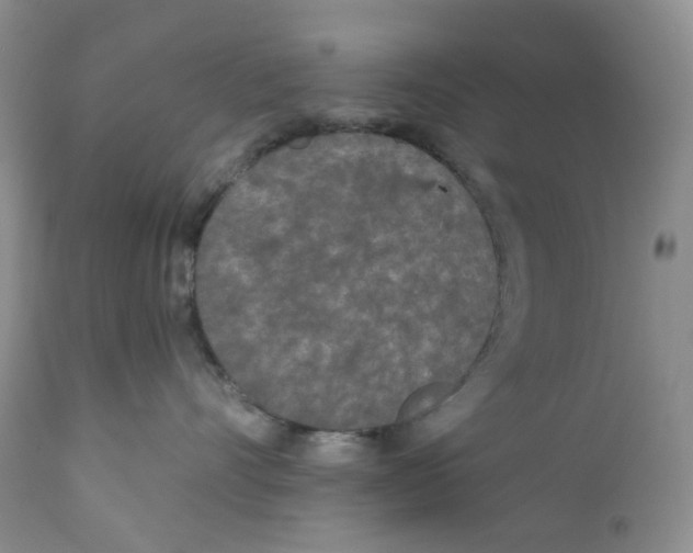 X0000111890528200908201324