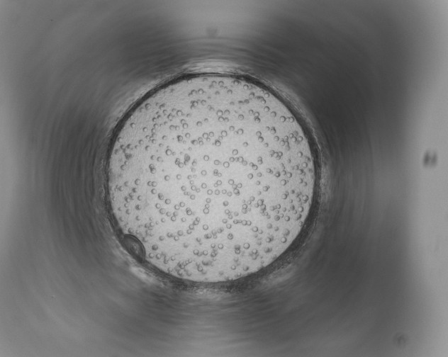 X0000111890529200908201323