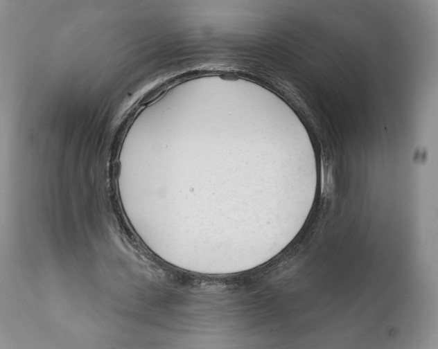 X0000111890531200908201323