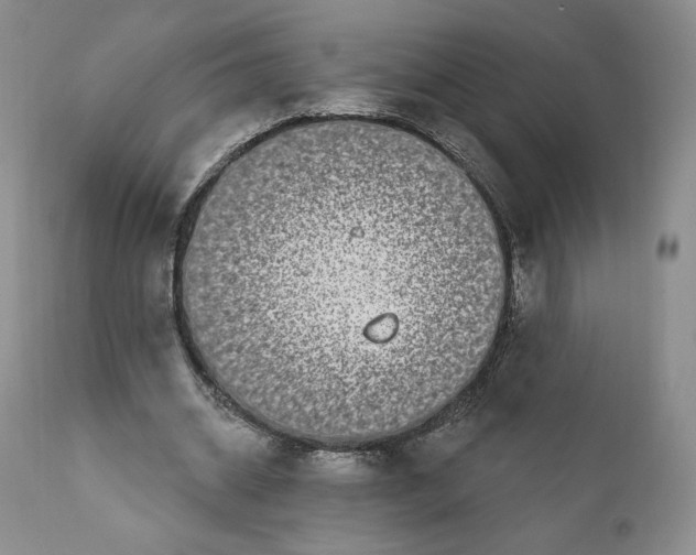 X0000111890534200908201323