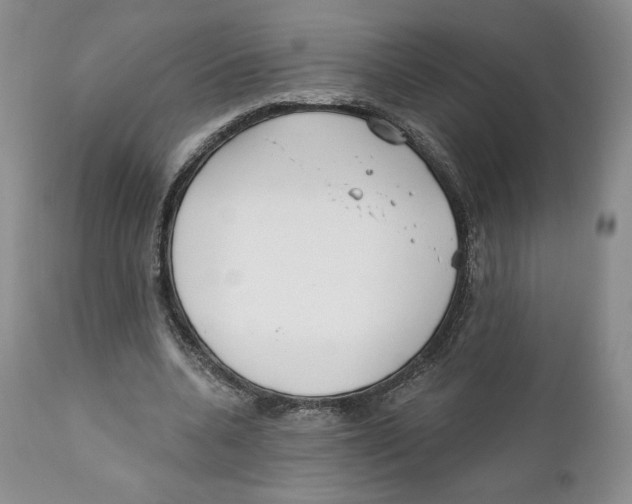 X0000111890536200908201323