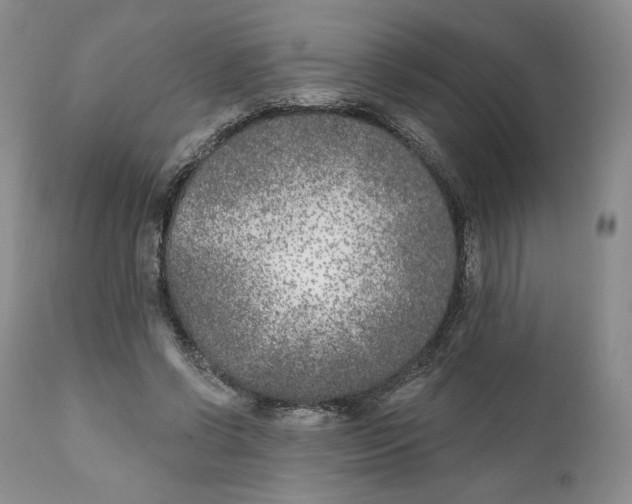 X0000111890542200908201323