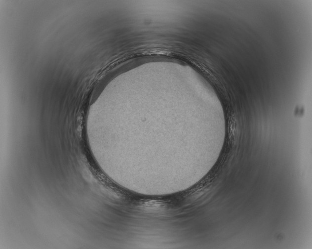 X0000111890551200908201323