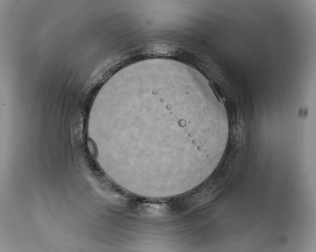 X0000111890552200908201323