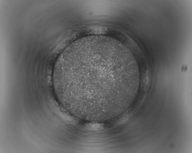 X0000111890553200908201323