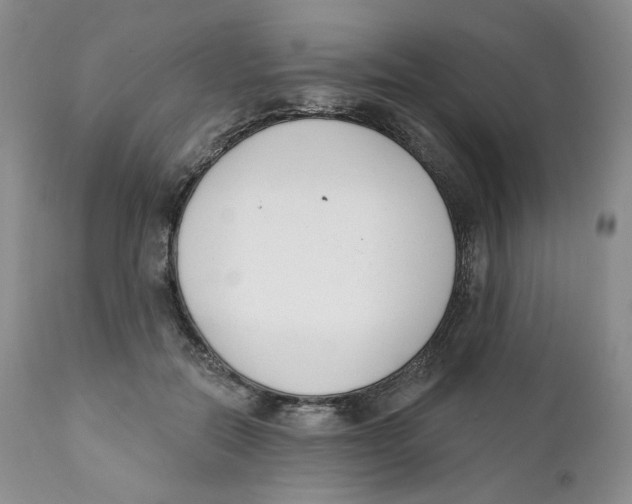 X0000111890554200908201323