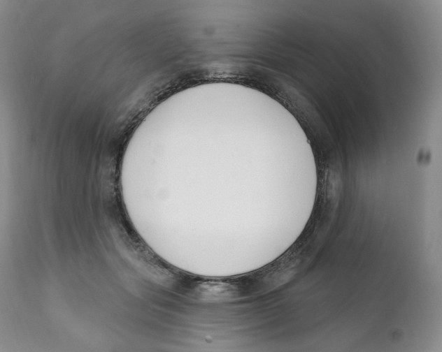 X0000111890557200908201324