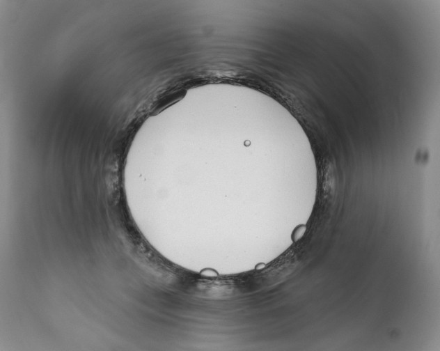 X0000111890559200908201324