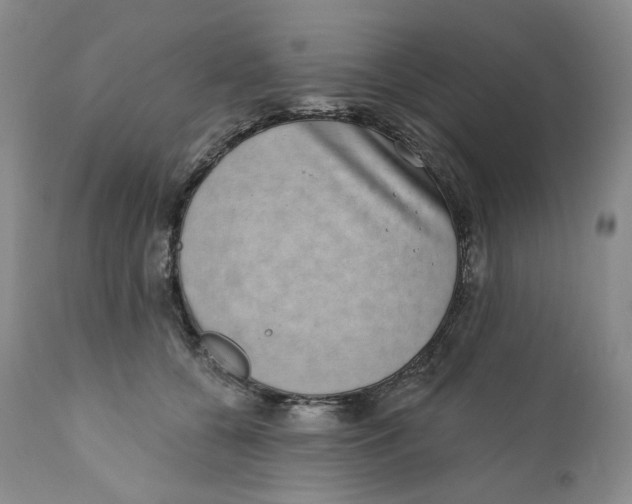 X0000111890560200908201324