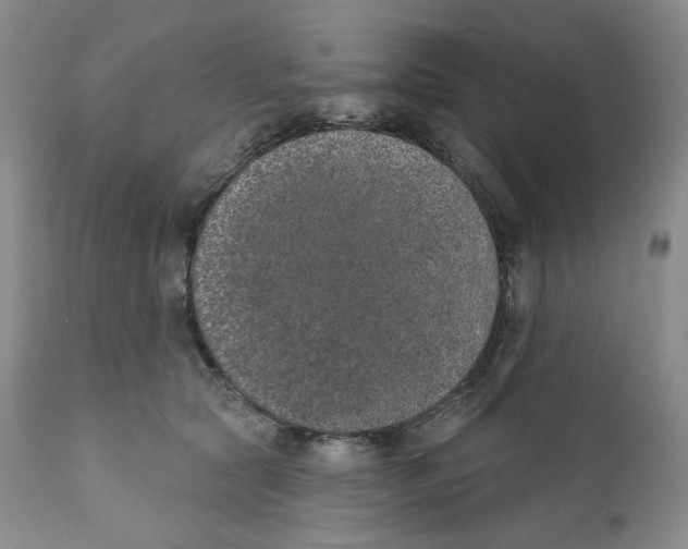 X0000111890561200908201324