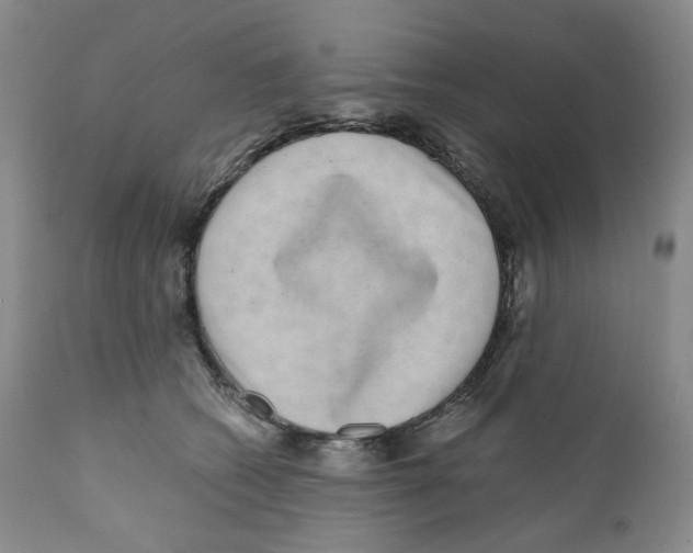 X0000111890562200908201324