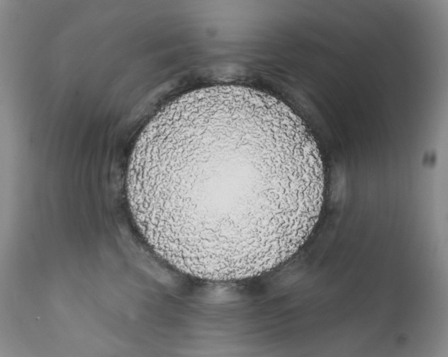 X0000111890569200908201324