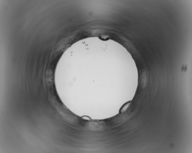 X0000111890571200908201324