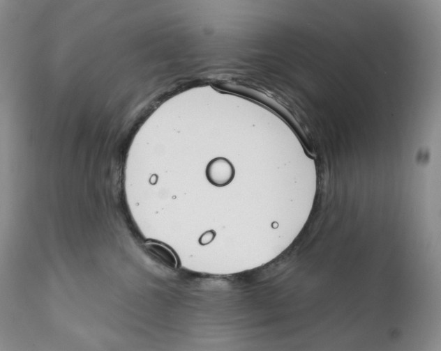 X0000111890572200908201324