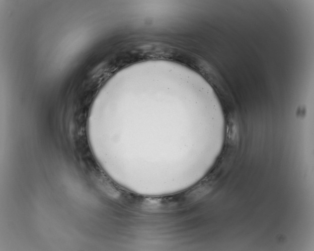 X0000111890573200908201324