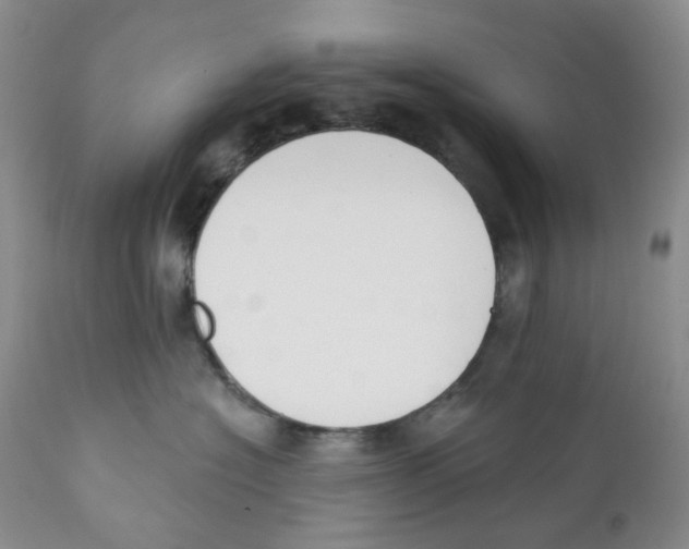 X0000111890574200908201324