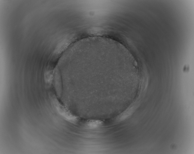 X0000111890576200908201324