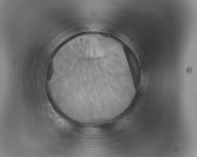 X0000111890577200908201323