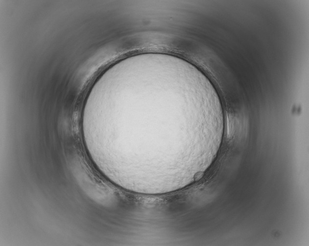 X0000111890579200908201323