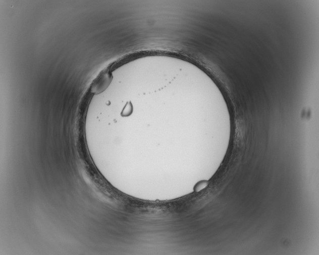 X0000111890580200908201323