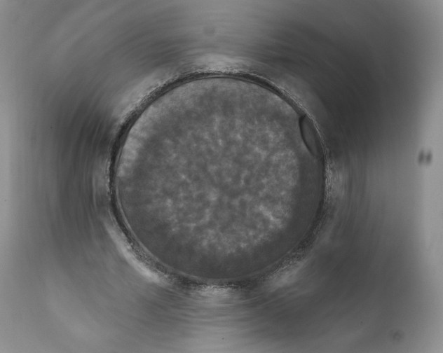 X0000111890581200908201323