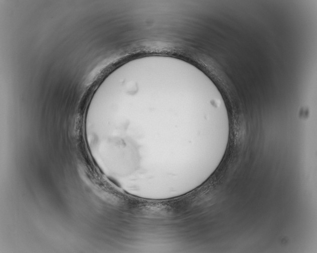 X0000111890583200908201323