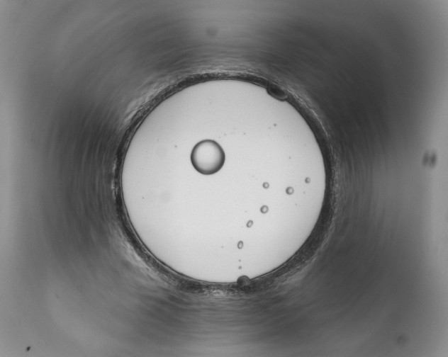 X0000111890585200908201323