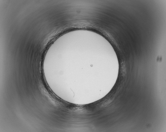 X0000111890589200908201323