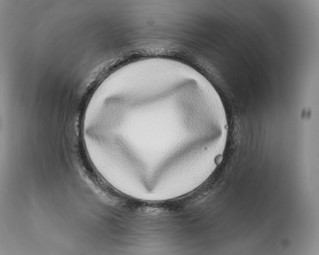 X0000111890590200908201323