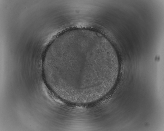 X0000111890592200908201323