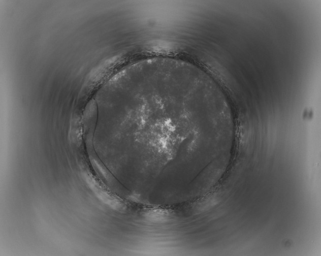 X0000111890593200908201323