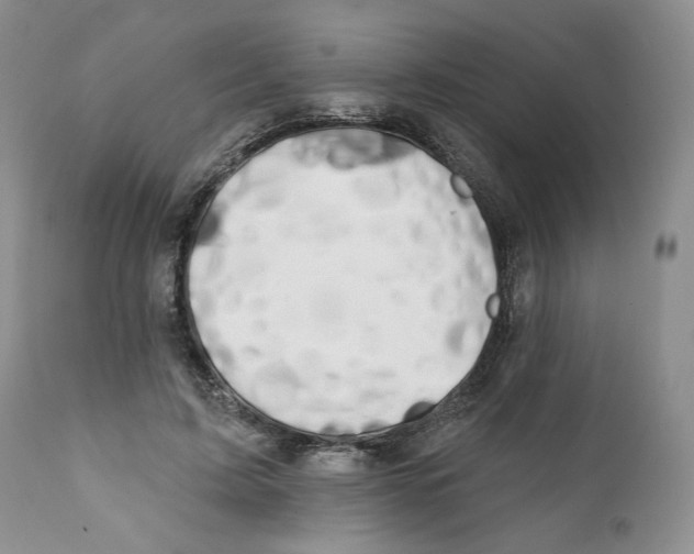 X0000111890595200908201323