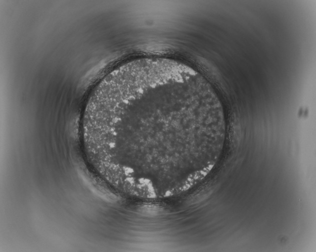 X0000111890596200908201323