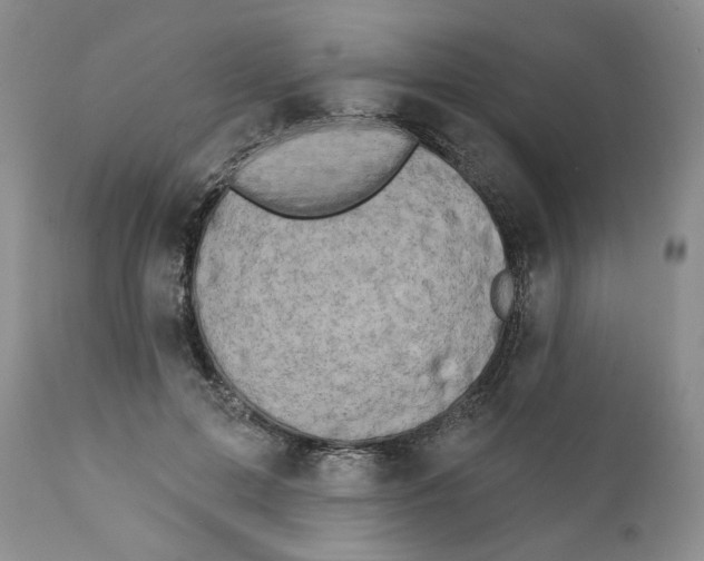 X0000111890599200908201323