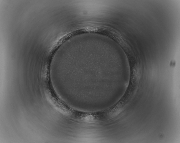 X0000111890600200908201323