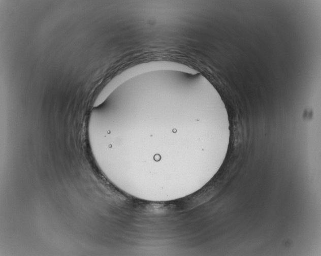 X0000111890613200908201323