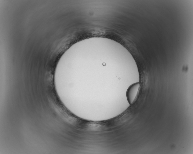 X0000111890614200908201323