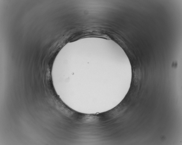 X0000111890617200908201323