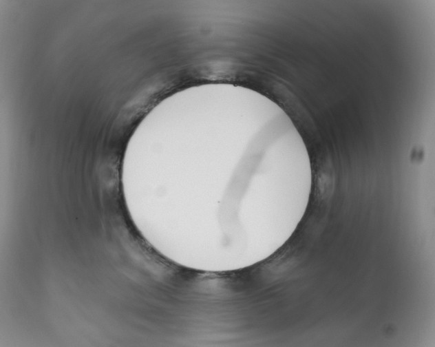 X0000111890620200908201323