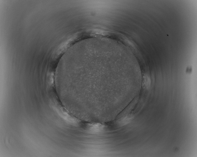 X0000111890621200908201323