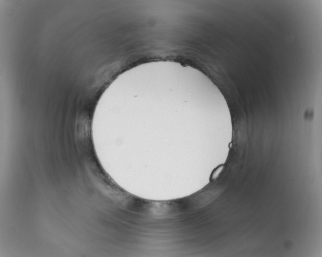 X0000111890623200908201322