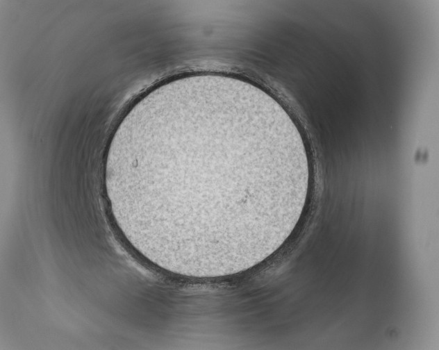 X0000111890625200908201322