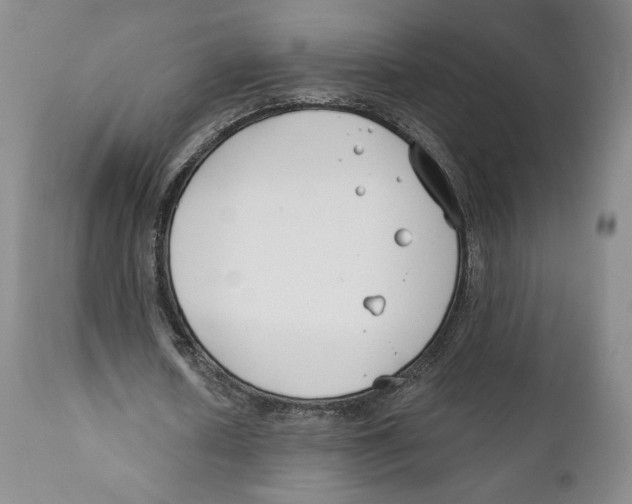 X0000111890626200908201322